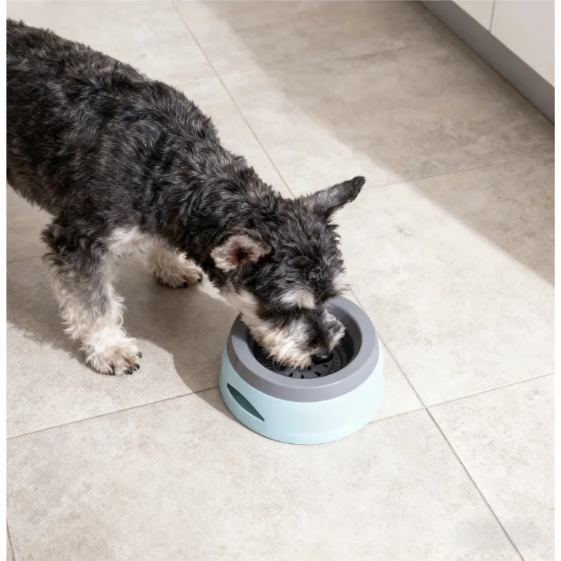 Pet Dog Bowls Floating Not Wetting Mouth Cat Bowl No Spill Drinking Water Feeder Plastic Portable Dog Bowl dog accessories